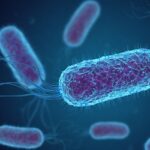 Infezioni di Escherichia coli