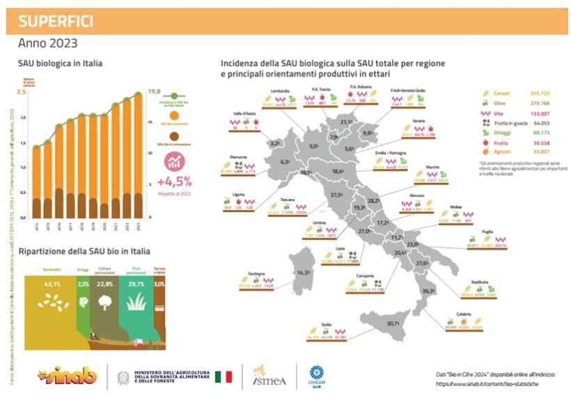 Superfici BIO