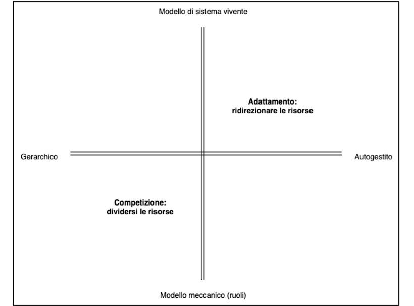 La prospettiva dell'organizzazione