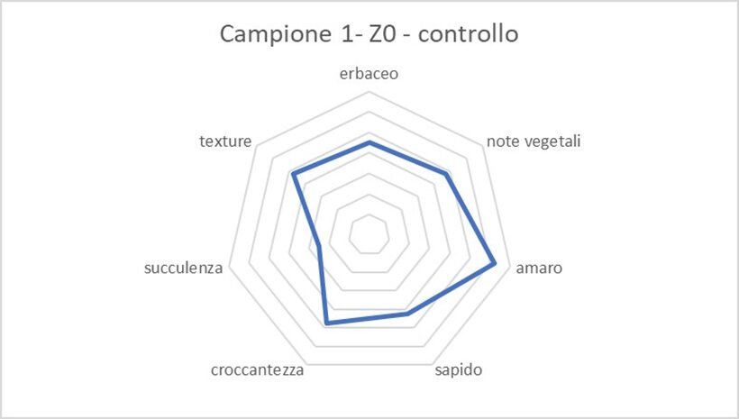 Profilo sensoriale del campione 1