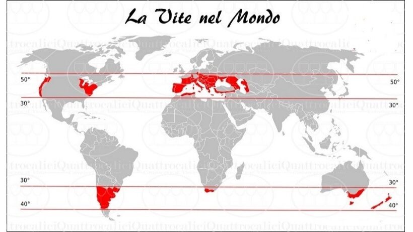 La vite nel mondo