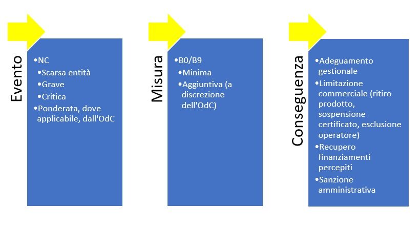 schema operativo