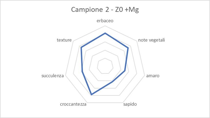 Profilo sensoriale del campione 2