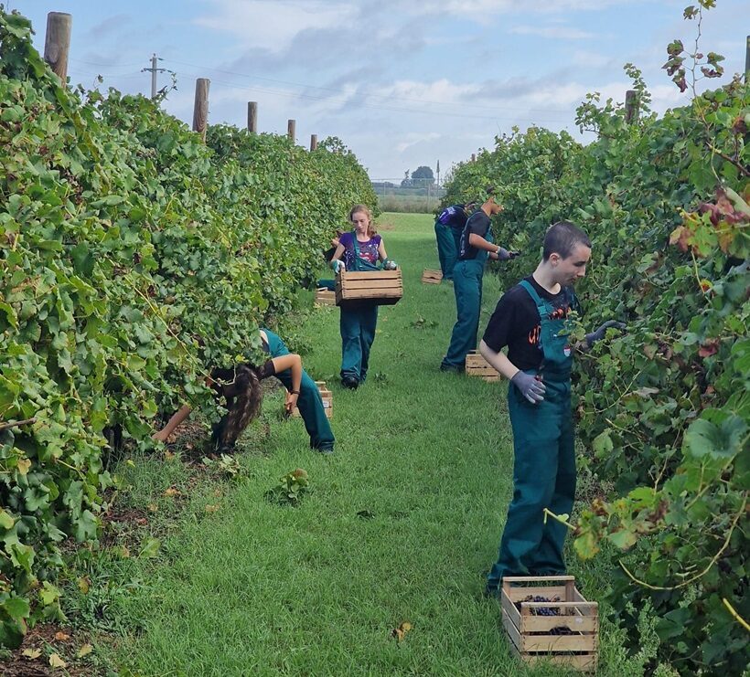 Esercitazioni nell'azienda agricola dell'Istituto