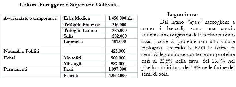 Colture foraggere e superficie coltivata