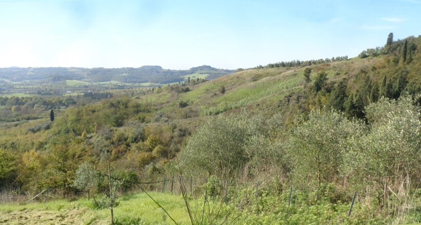 Paesaggio collinare