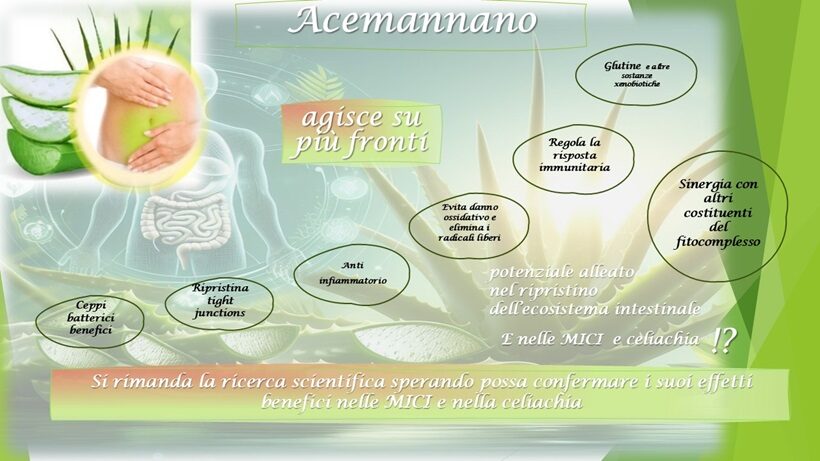 Schema attività acemannano