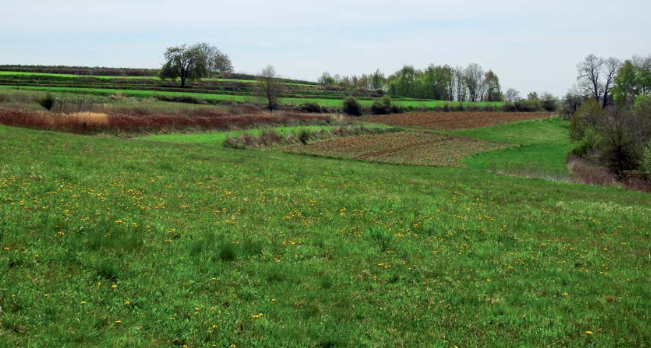 progetto VARSTVO BIODIVERZITETE V KMETIJSKI KRAJINI – EIP VIVEK