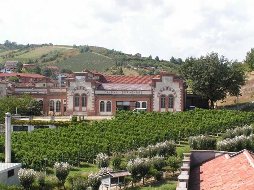 Cantina sperimentale di Alba