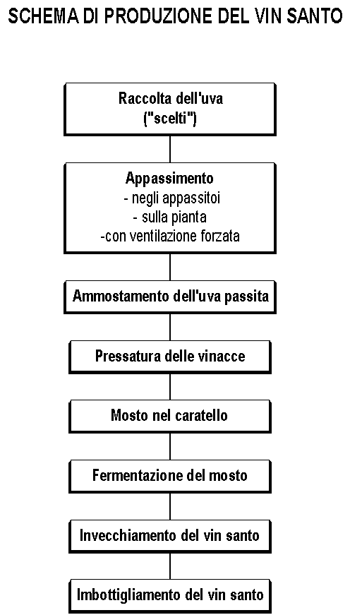 Schema di produzione Vin Santo